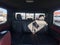 2019 RAM 1500 Rebel 4x4 4dr Crew Cab 5.6 ft. SB Pickup