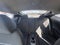 2016 Hyundai Veloster Base 3dr Coupe 6M w/Black Seats